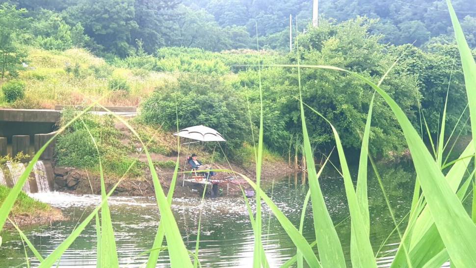 노지 조행기 시즌12화 여름에 시작6월 (조황조행기 - 화보조행기)