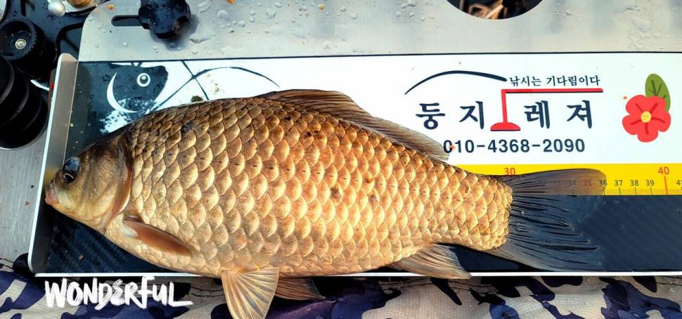 찔레꽃 블루베리의 무한 낚시사랑 (조황조행기 - 화보조행기)