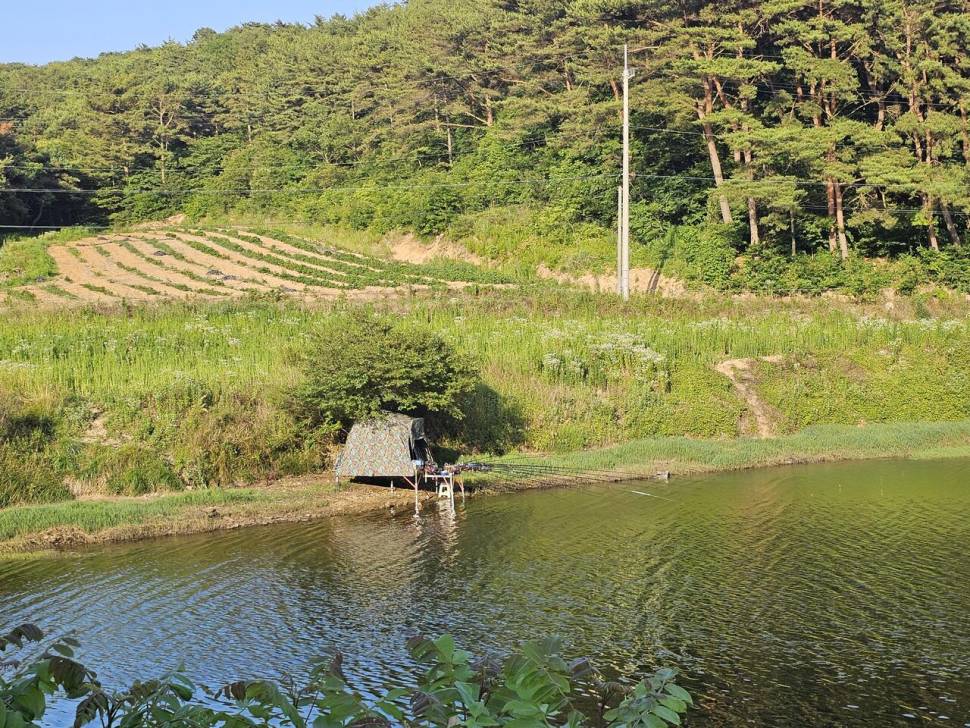 새벽 2시의 데이트 (조황조행기 - 화보조행기)