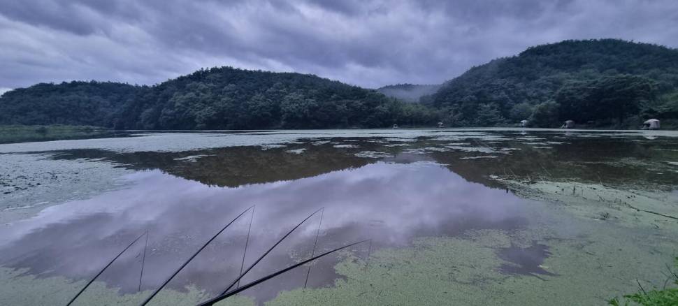 망설임 그리고 결정 (조황조행기 - 화보조행기)