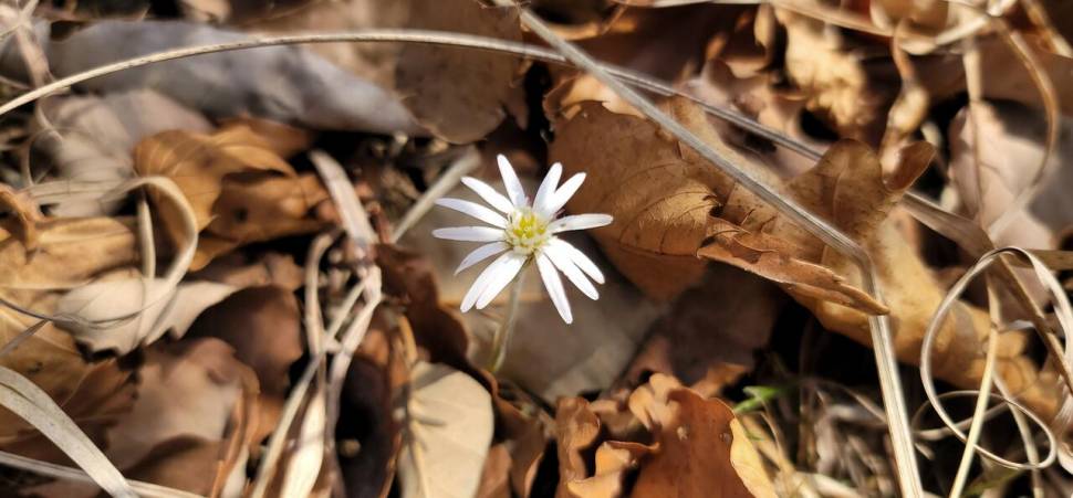 찔레꽃 블루베리의 무한 낚시사랑 (조황조행기 - 화보조행기)