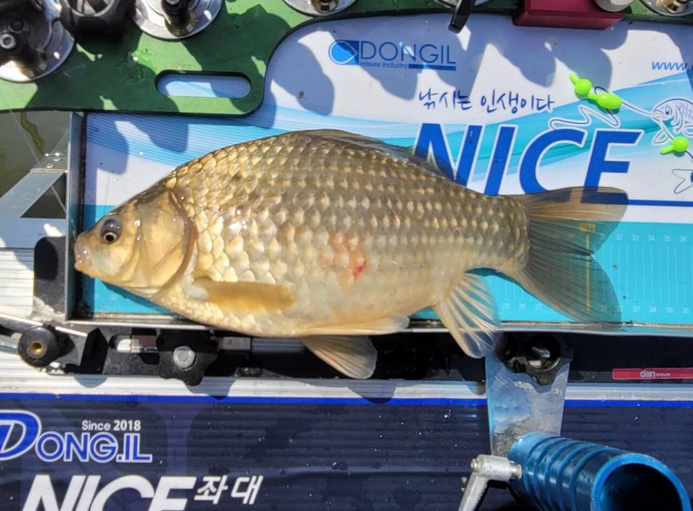 하룻밤 잘 쉬고 왔습니다 (조황조행기 - 화보조행기)