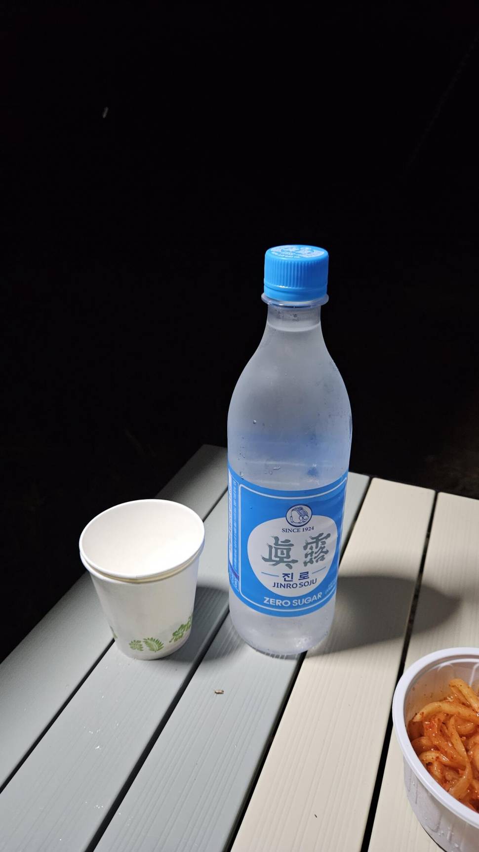 달빛아래 꾼 조행기 (조황조행기 - 화보조행기)