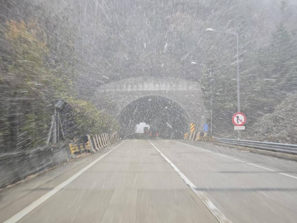 비바람을 뚫고 나온 4짜붕어 (조황조행기 - 화보조행기)