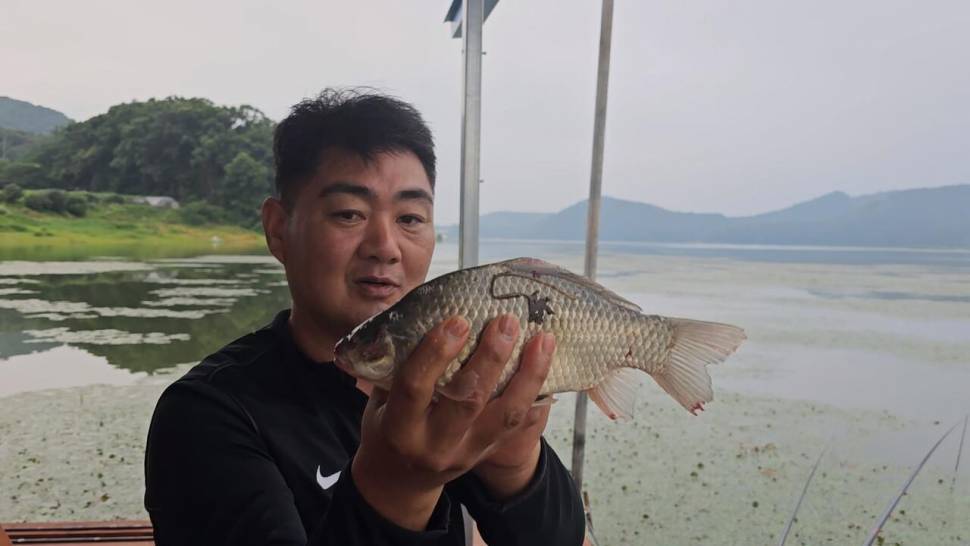 도도한붕어의45번째 및 12번째 영상 (조황조행기 - 화보조행기)