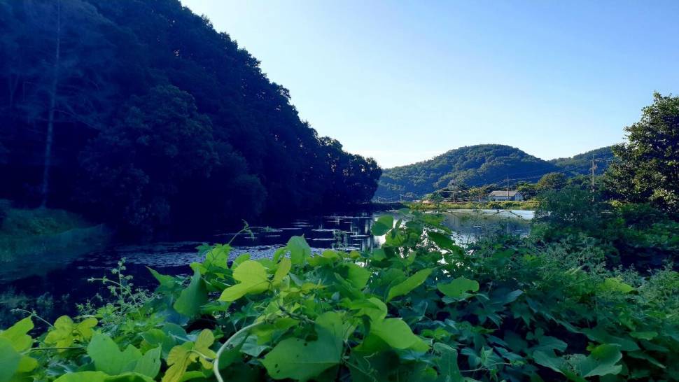 한번에찌오름 (조황조행기 - 화보조행기)