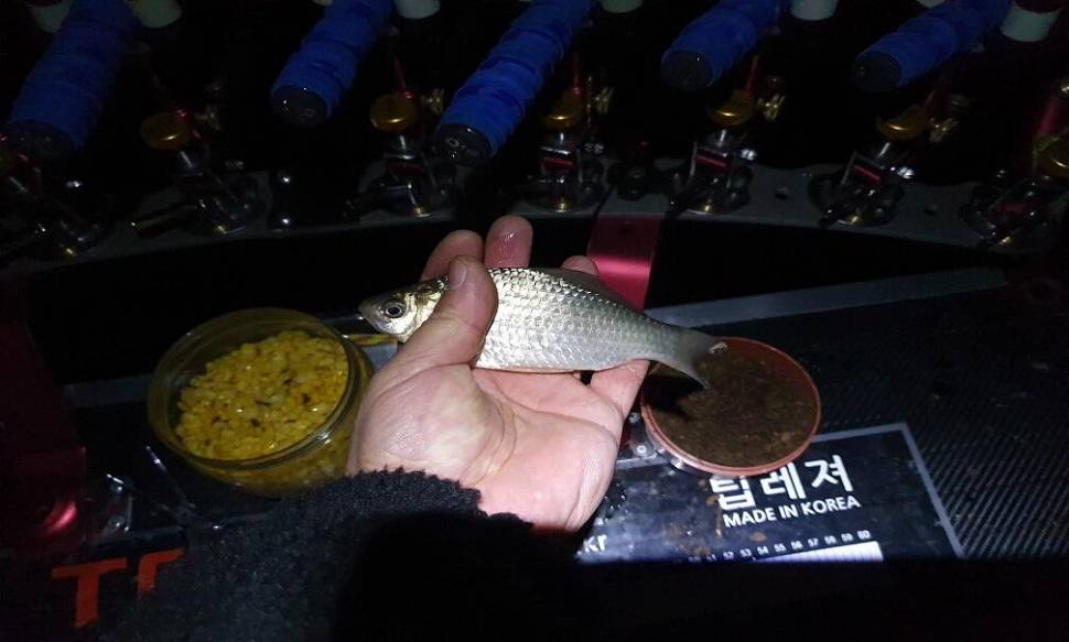 12월 추운 겨울의 시작 (조황조행기 - 화보조행기)