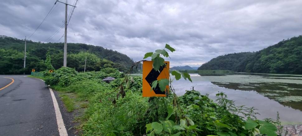 망설임 그리고 결정 (조황조행기 - 화보조행기)