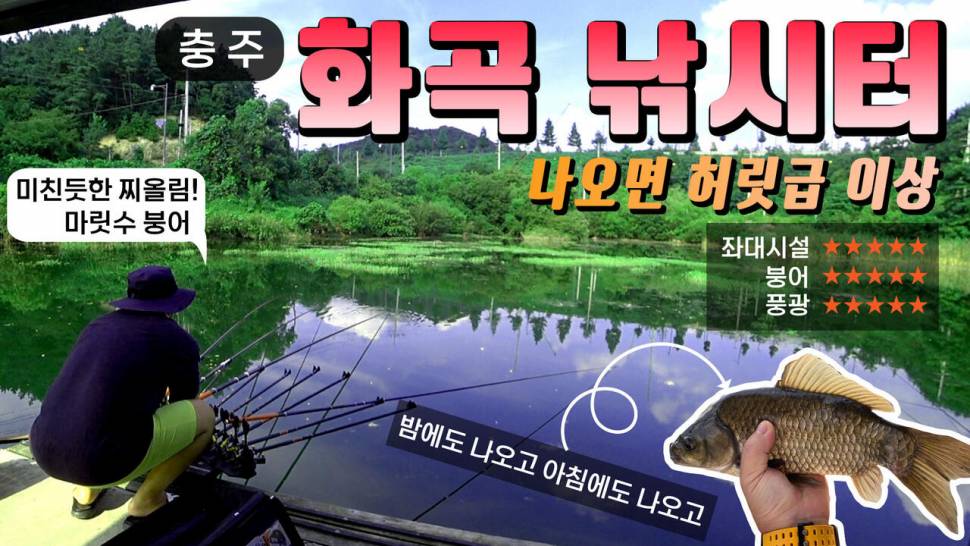 폭염속 충주 화곡 낚시터에서 수상좌대에 올라타 붕어낚시 허릿급 월척 행진 (조황조행기 - 화보조행기)