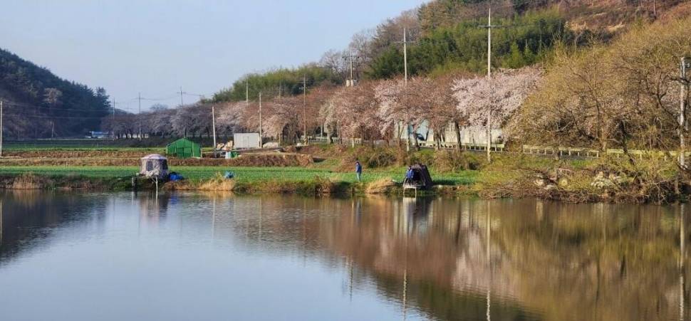 포그피싱 정기출조 (조황조행기 - 화보조행기)