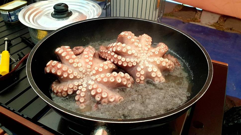 주말힐링 (조황조행기 - 화보조행기)
