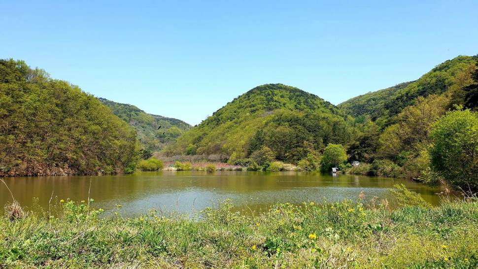 복사꽃핀4월에 계곡지 (조황조행기 - 화보조행기)
