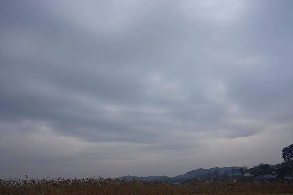 워밍업 (조황조행기 - 화보조행기)