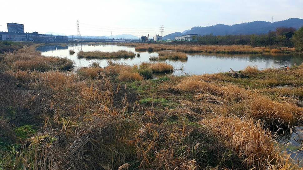 주말힐링 (조황조행기 - 화보조행기)