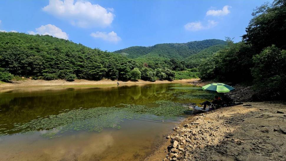 2024년 어신魚神 조우회의 08월 정출 더위사냥 (조황조행기 - 화보조행기)