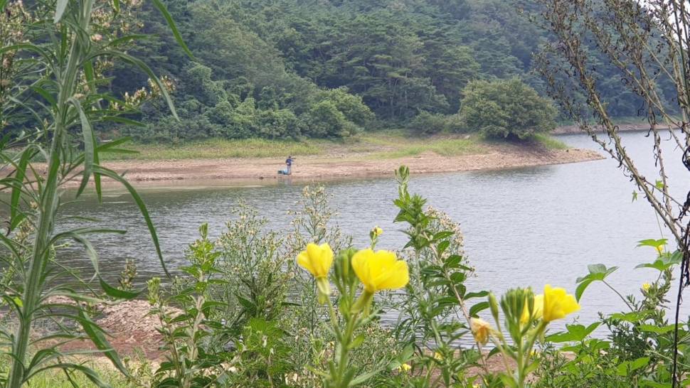 보습팀 정출 (조황조행기 - 화보조행기)