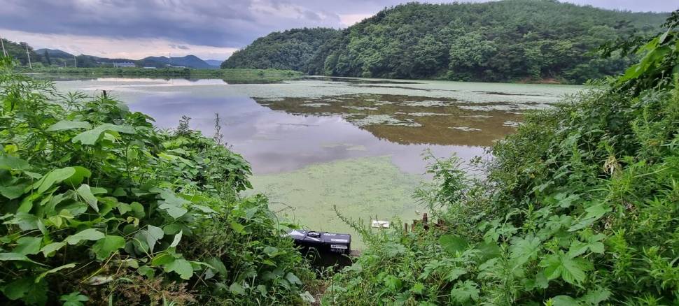 망설임 그리고 결정 (조황조행기 - 화보조행기)