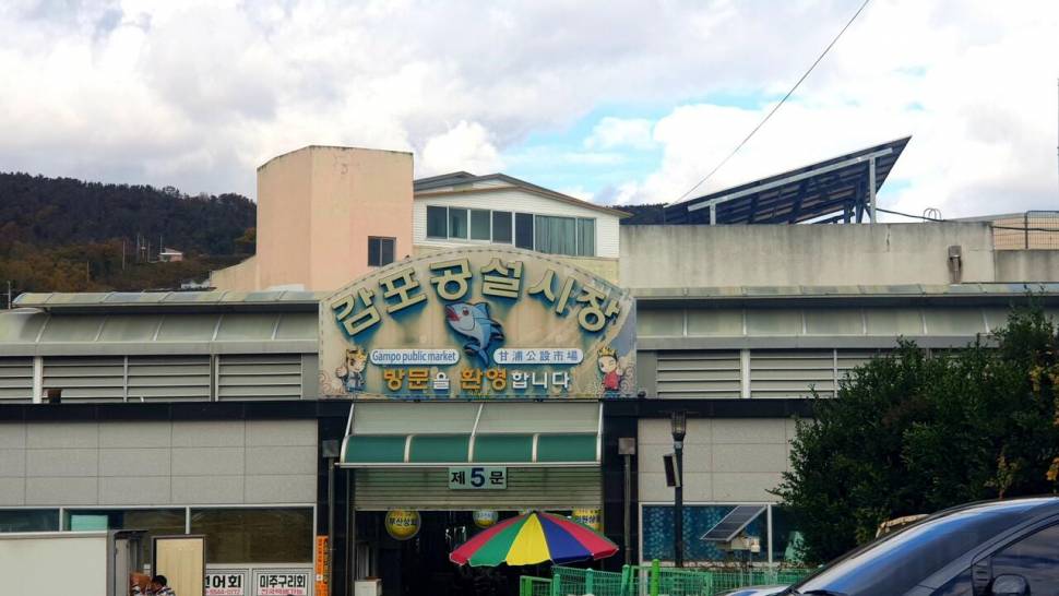 주말힐링 (조황조행기 - 화보조행기)
