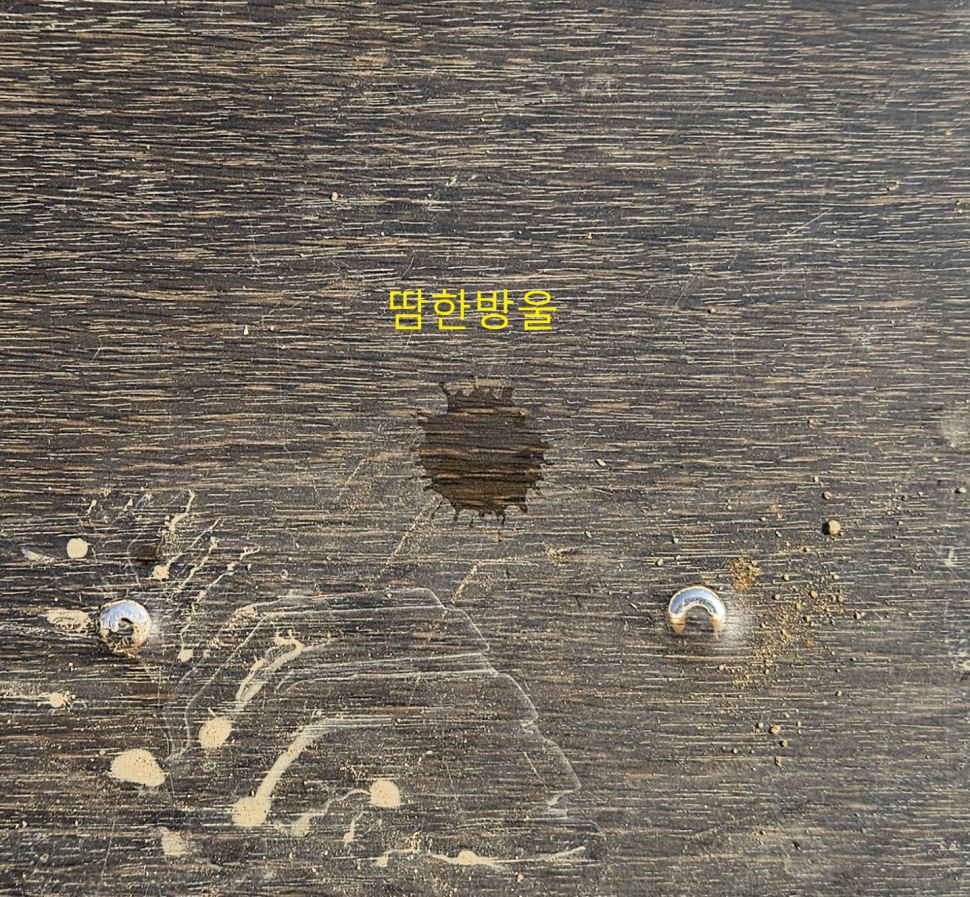 2024년 어신魚神 조우회의 08월 정출 더위사냥 (조황조행기 - 화보조행기)