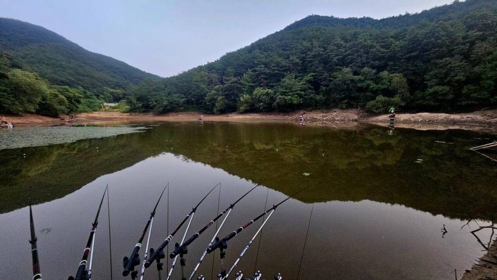 2024년 어신魚神 조우회의 08월 정출 더위사냥 (조황조행기 - 화보조행기)