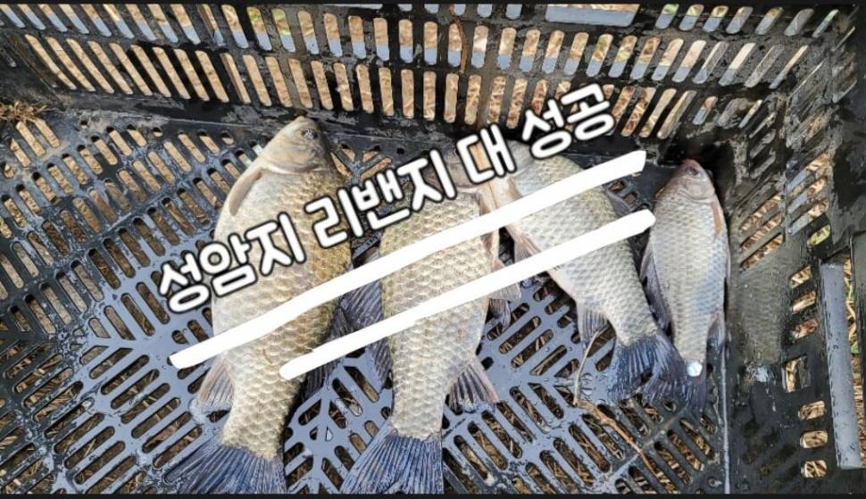 서산권 성암지 revenge 조행기 시작합니다 (조황조행기 - 화보조행기)