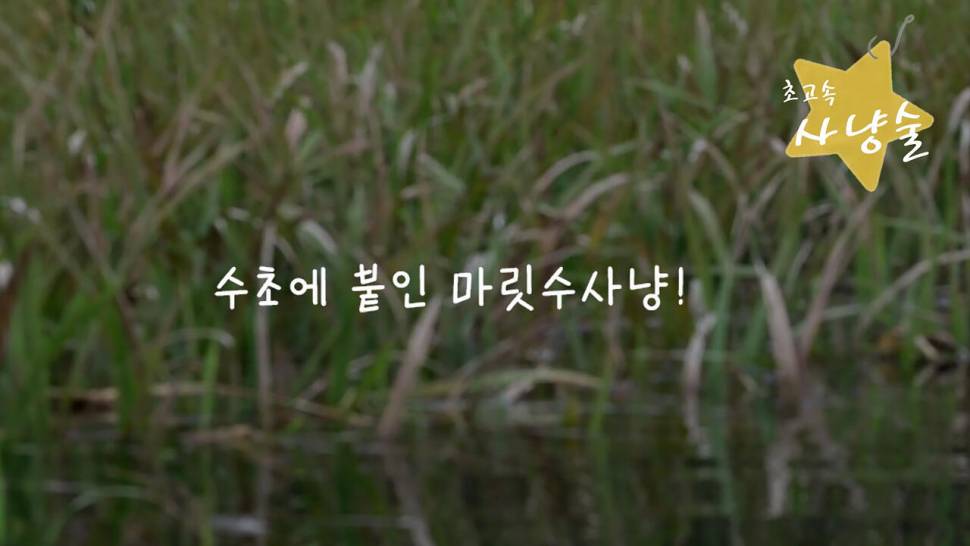 초고속 사냥술 댐낚시 붕어사냥 (조황조행기 - 화보조행기)