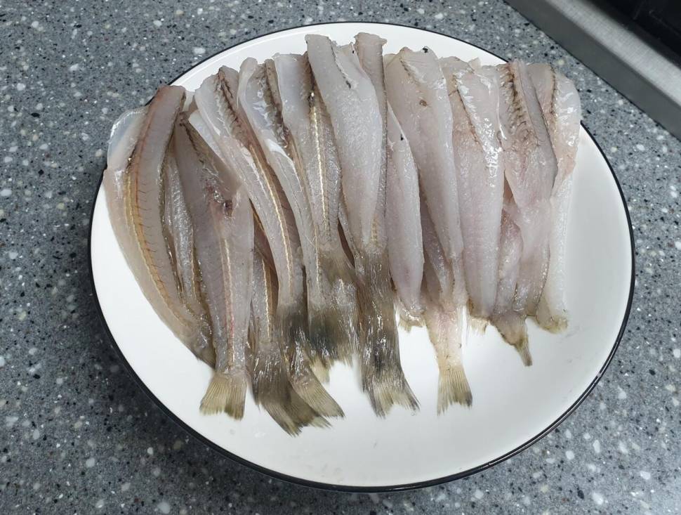 주말힐링 (조황조행기 - 화보조행기)