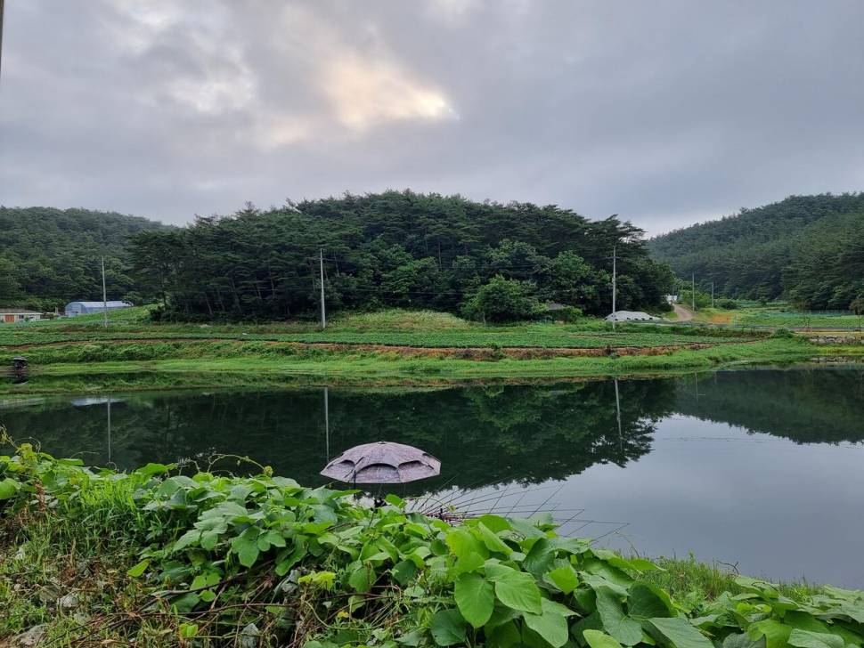 어려운시기 지나면 (조황조행기 - 화보조행기)