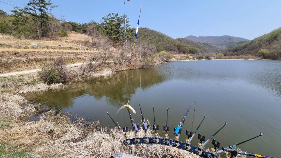 긴 휴식을 끝내고 (조황조행기 - 화보조행기)