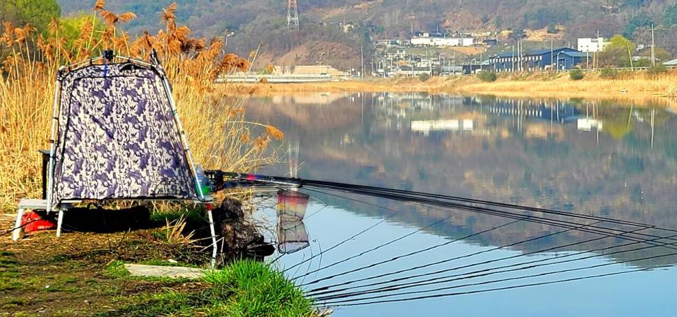 찔레꽃 블루베리의 무한 낚시사랑 (조황조행기 - 화보조행기)