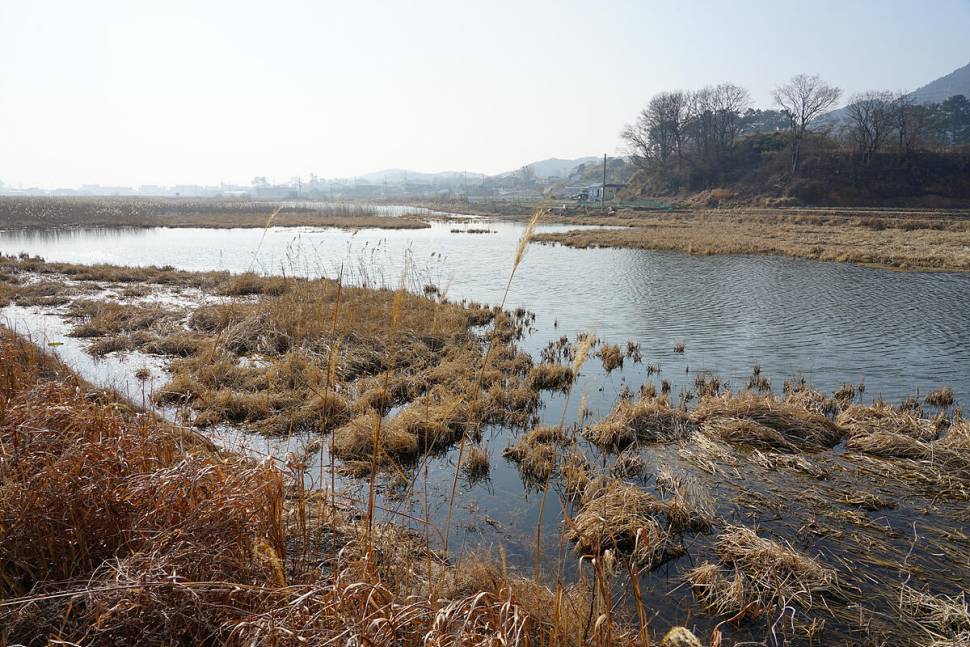워밍업 (조황조행기 - 화보조행기)