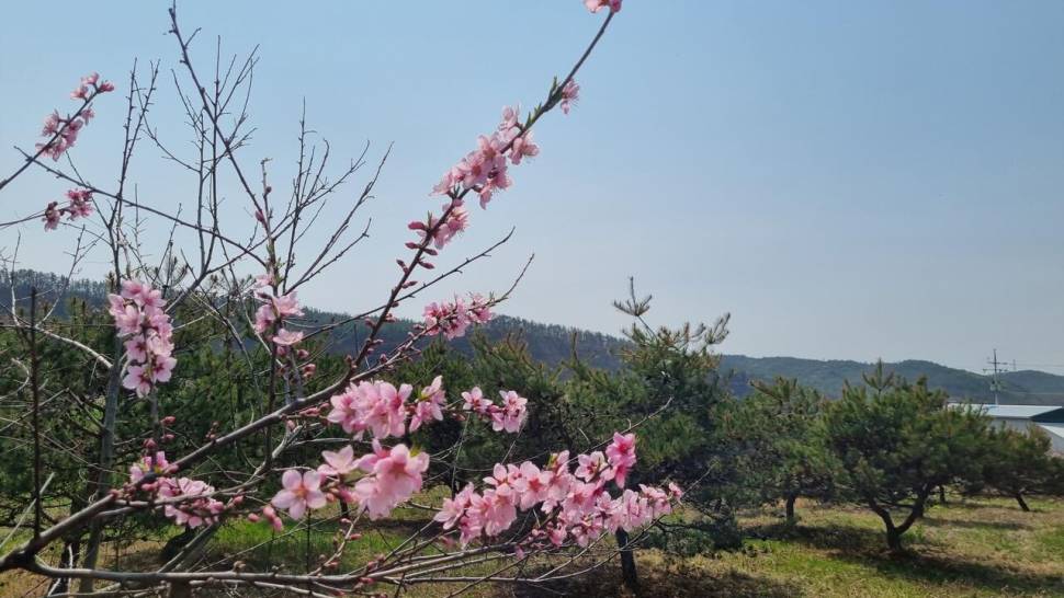 긴 휴식을 끝내고 (조황조행기 - 화보조행기)