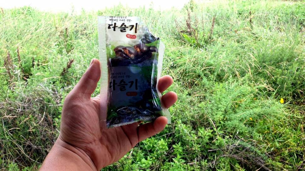 주말노지캠낚 (조황조행기 - 화보조행기)