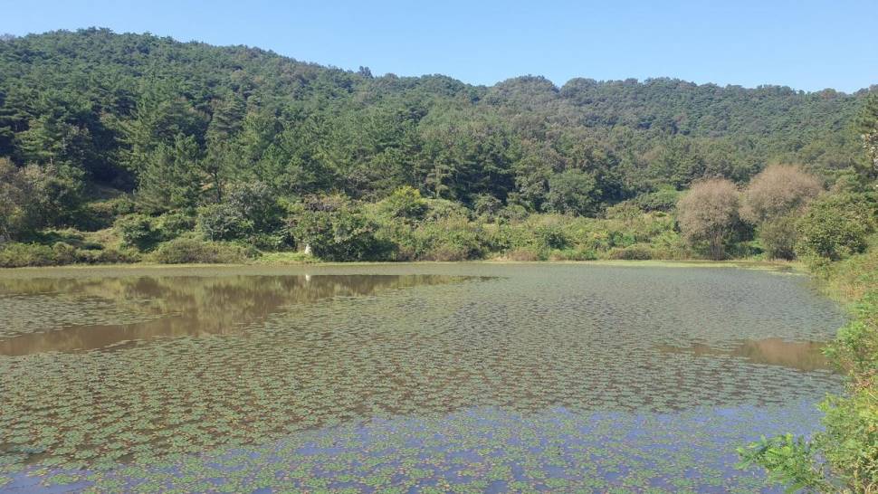 가을이제 겨울인가 (조황조행기 - 화보조행기)