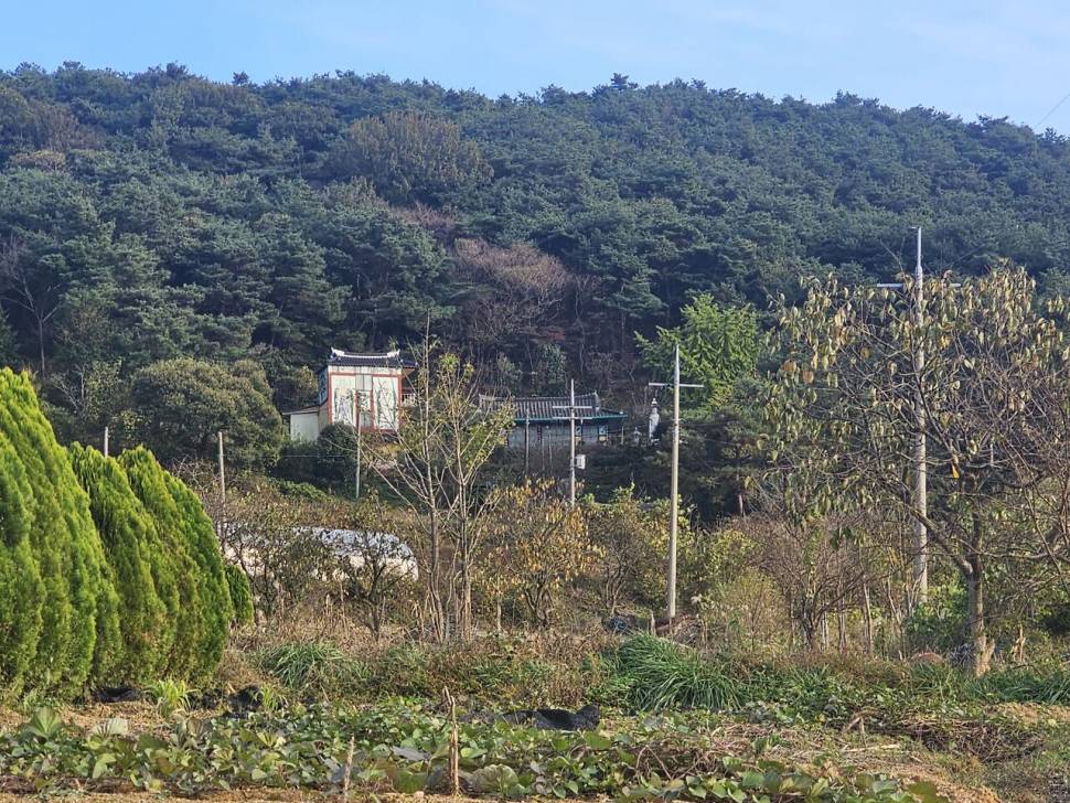 오랜 기대림 끝에 만난 월척붕어 (조황조행기 - 화보조행기)