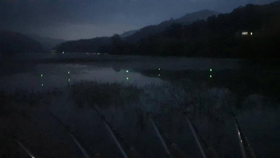 메뚜기놀이터 (조황조행기 - 화보조행기)