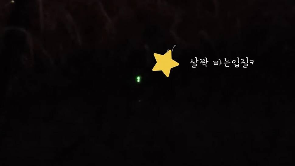 낚시대를 드리겠습니다 실화ㅋㅋㅋ (조황조행기 - 화보조행기)