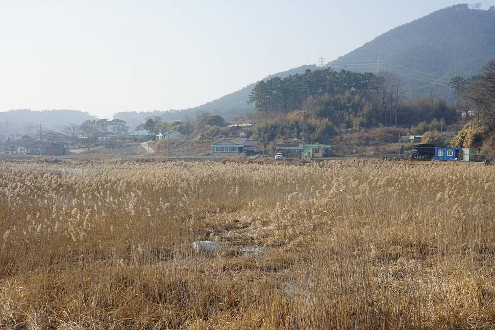 워밍업 (조황조행기 - 화보조행기)
