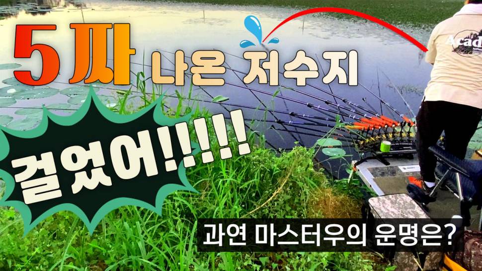 5짜가 나왔다는 소리듣고 부리나케 달려갔습니다 마을속 작은 소류지 (조황조행기 - 화보조행기)