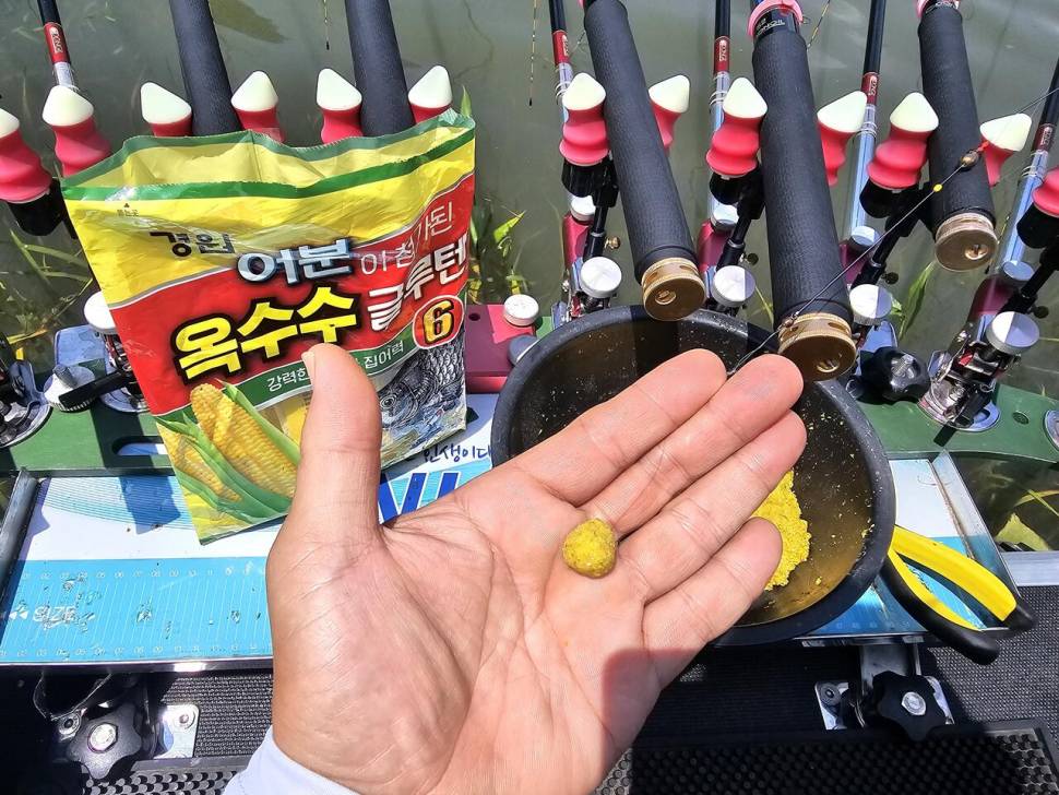 여명과 함께 찾아 온 월척붕어 (조황조행기 - 화보조행기)