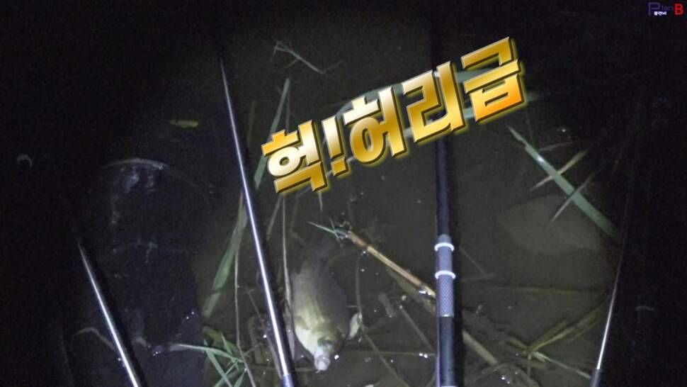 부들밭 닭발 포인트의 위력 투척 일분만에 월척 자동빵 (조황조행기 - 화보조행기)