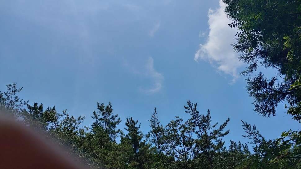 임자도남자 낚시여행3화순천소류지 (조황조행기 - 화보조행기)