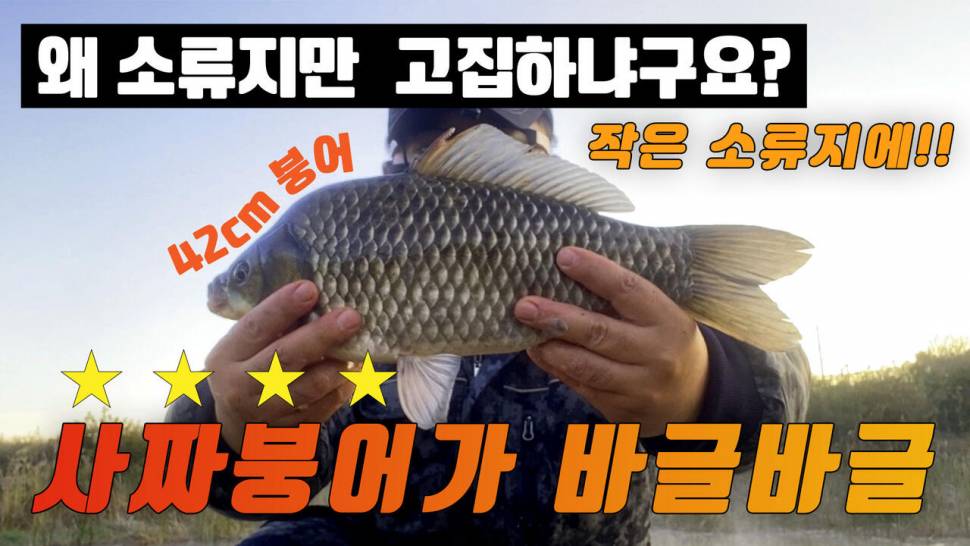 작은 소류지에서 만난 4짜붕어와 허릿급 붕어들 그리고 냉이라면 (조황조행기 - 화보조행기)