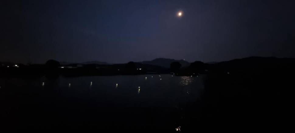 붕어다 (조황조행기 - 화보조행기)