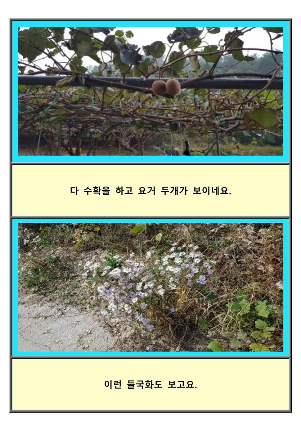 혼자만의 2019여행 09 위성보고 찿아간 하동소류지 (조황조행기 - 화보조행기)