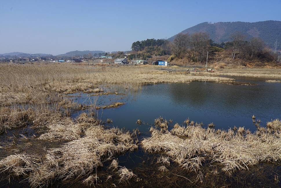 워밍업 (조황조행기 - 화보조행기)
