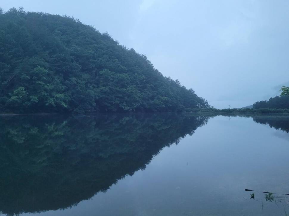 1년 전 그 기억 (조황조행기 - 화보조행기)