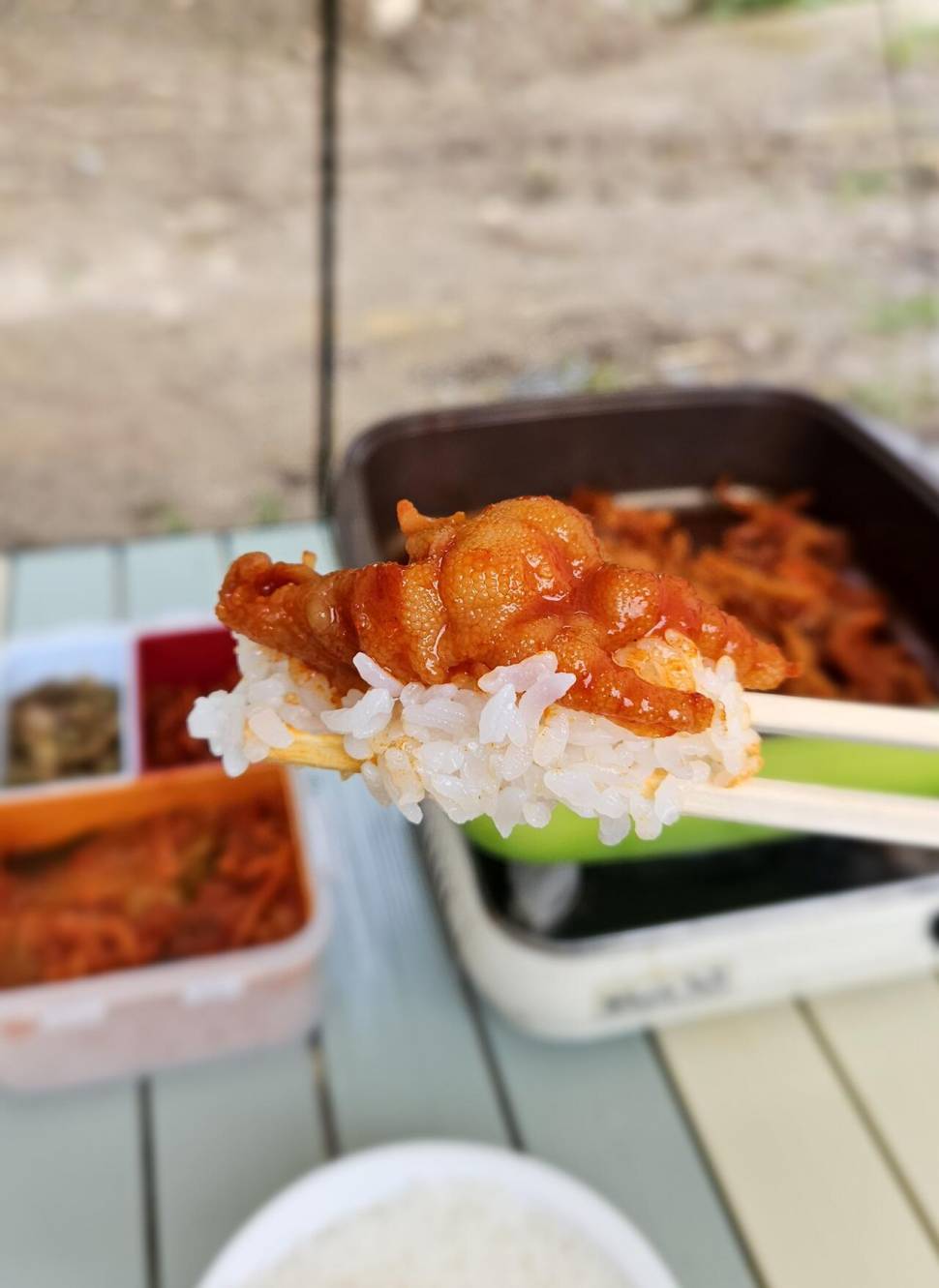 달빛아래 꾼 조행기 (조황조행기 - 화보조행기)