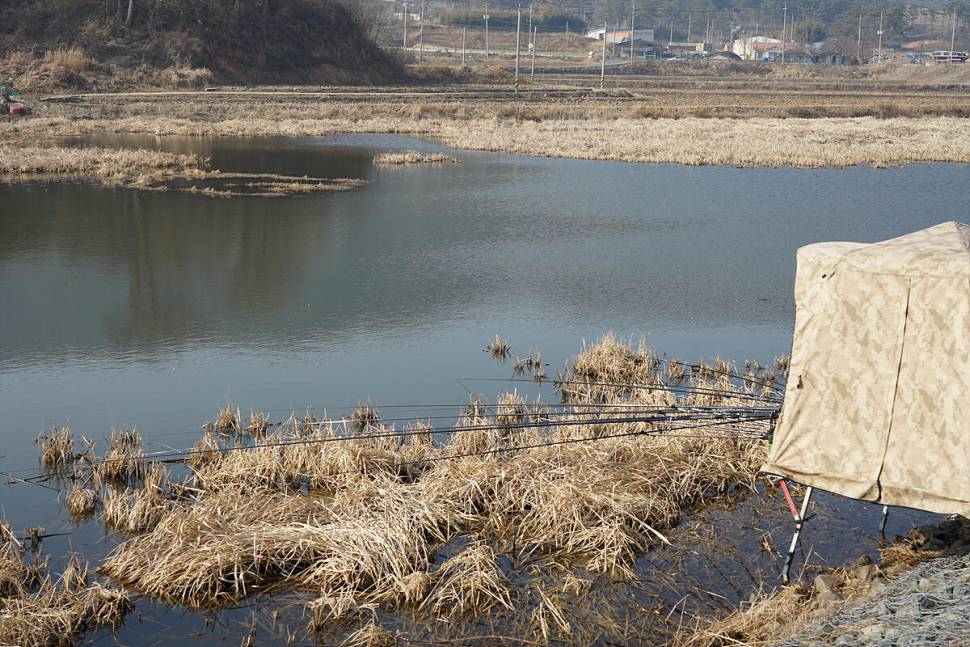 워밍업 (조황조행기 - 화보조행기)