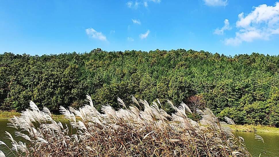 해남수로 (조황조행기 - 화보조행기)